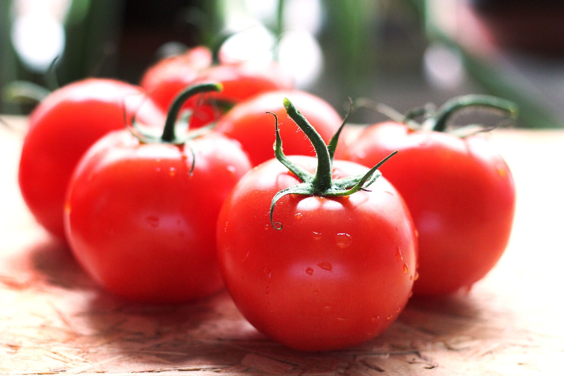 tomatoes-4189230_1920